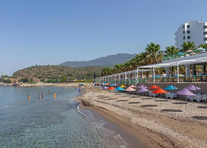 Grand Efe (adults Only)